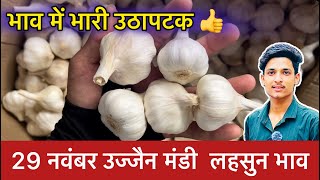 Ujjain Mandi Lahsun Ka Bhav | Garlic Price Today | Ujjain Mandi Bhav Lahsun | 29 November 2024￼