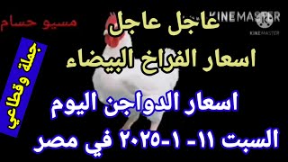 اسعار الفراخ البيضاء اليوم اسعار الدواجن اليوم السبت 11-1-2025 جمله وقطاعي فى مصر