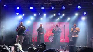 Fanfare Ciocarlia - Live @ Balkanic Fest 2024, Bucharest