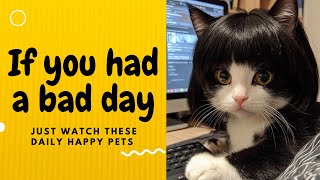 If you had a bad day, just watch these daily happy pets | Day 94