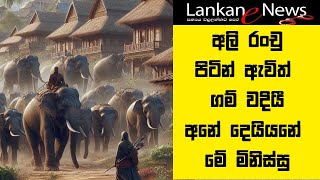 Herd of Elephants Invades Village | Rare Wildlife Encounter!