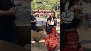 奈良の鹿が観光客を襲う衝撃的な事件 | Nara Park deer in japan #deerpark #japan