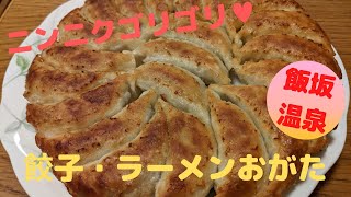 【ふりぃ参戦】福島市の円盤餃子｜餃子・ラーメンおがたをレビュー！Disk dumplings