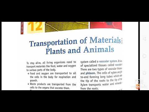 Date -28 Class -7 Subject- Science Topic- Transportation Of Materials ...