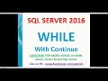 While loop with continue in SQL