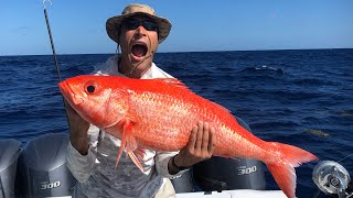 GIANT Queen Snapper (Catch and Cook) plus a suprise Mako