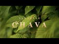 Tanakayu Chava - The Finest Living