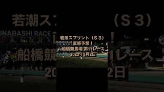 若潮スプリント（S3） 直感予想！ 船橋競馬場 第11レース 2023年5月2日