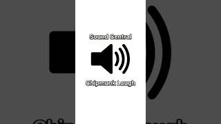 Chipmunk laugh sound effect