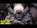 Alien Lore 1 Hour - Where is Ripley 8 - Synthetic Aliens - Story of Elden - Where is Amanda Ripley