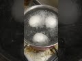 amazing sound of boiling eggs healthy u0026 good source protien shortvideofacts