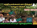 சத்தியமங்கலம் காட்டுக்குள் இப்படியும் ஒரு கிராமமா 😳!!kottadai tribal village|dhimbam|germalam