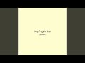 Sky Fragile Star