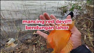 MANCING RED DEVIL ‼️ Uji coba Joran custom di Bendungan Lahor