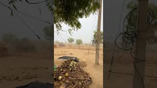 सुकून भरी सुबह। #morning #morningvibes #fog #videoviralシ #fb