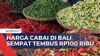 Mahal! Harga Cabai Rawit di Bali Sempat Tembus Rp100 Ribu per Kilogram