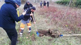 ISETA PRO - formation Titre Professionnel Ouvrier du Paysage