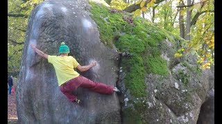 🌟Controle Technique (7C+) by Kerényi