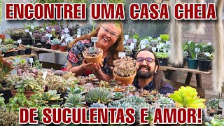 ELA COLECIONA SUCULENTAS e tem um JARDIM GIGANTE - Casa com Plantas ornamentais