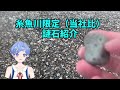 【糸魚川ヒスイ拾い】絶好の波到達！親不知海岸でヒスイ採取（鉱石系vtuber）＃糸魚川翡翠 ＃宝石 ＃鉱石 ＃アウトドア ＃science