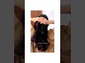 korean low ponytail hairstyles shorts aesthetic trending korean hairstyle