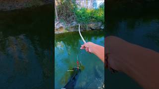 Best fishing techniques video usa I Top latest carp fishing videos #fishing #shorts #skillsfirst