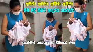 Amma | පිංවන්තියේ ඔබගෙ පින් මහිමයෙන් 🥺💖 | MOTHERS DAY | Covered by Maduu Shanka | Status Video