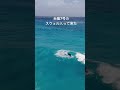 【人工リーフ炸裂】台風7号スウェル入って来ました shorts surf surfing