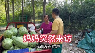 阿杜准备去卖西瓜，没想到妈妈突然到访，究竟说了什么让李佳生气