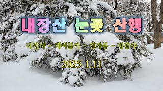 2025 1.11   내장산 눈꽃 산행 / 내장사 - 연자봉 - 내장사 코스