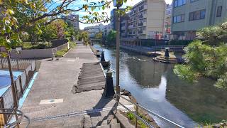 TOKYO Kiba Walk - Japan 4K HDR