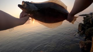 LEGAL HALIBUT (LONG BEACH FISHING)