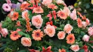 Funeral Directors - John O Williams & Son