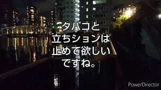 第150話 たぶん時合じゃない＠亀島川 2021年6月28日