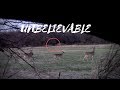 Download Took My Daughter Hunting And CAUGHT THIS ON CAMERA, Giant Creature? In Mp4 3Gp Full HD Video