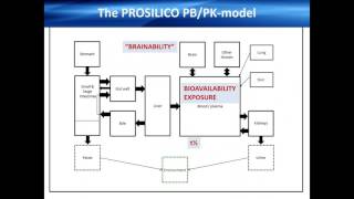 Directly from Chemical Structure to Human ADME PK of Drug Candidates and Chemicals