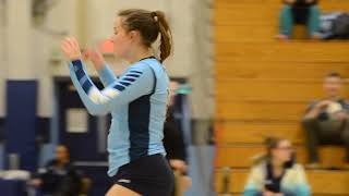 2018 OCAA Women's Volleyball Highlight Video