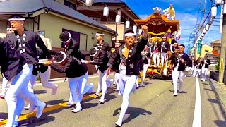 【 鳳だんじり祭り 金曜日の朝 上 石橋 富木 3町 で一緒に 曳行している😙🌟】堺市 鳳地区 宵宮 宮入後 午前曳行 〔鳳だんじり 鳳だんじり祭〕danjiri festival