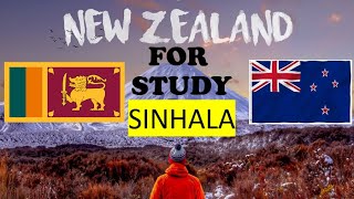 නවසීලන්තයේ අධ්‍යාපනය සහ ජීවන වියදම් | Study in New Zealand - SINHALA | #studentlifesl