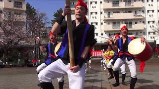 鶴川エイサーよさこい祭り'19 午後の部 東京中野区 新風エイサー 4-1