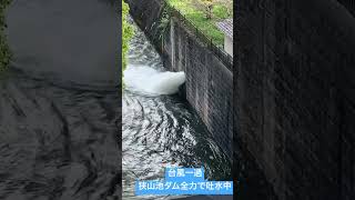 台風一過で狭山池ダム全力吐水中