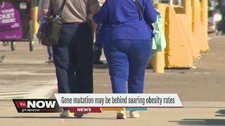 Gene mutation may be behind soaring obesity rates