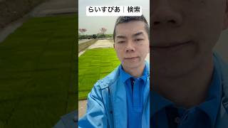 愛知県西尾市安城市碧南市岡崎市お米翔米　稲箱を田んぼに置きました！暑かったので裸足で田んぼに入りたかったです！#shorts