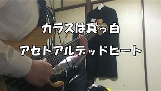 アセトアルデッドヒート/カラスは真っ白　bass cover