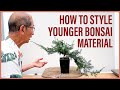 How to Style Younger Bonsai Material