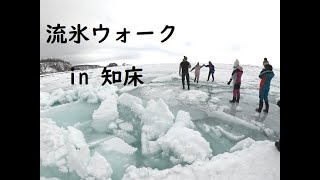 【北海道】流氷ウォーク in 知床 流氷の上を歩いて氷のプールにドボン！ walk on draft ice, Shiretoko, Hokkaido