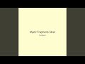 Mystic Fragments Silver