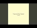 Fragments Sky Tranquil