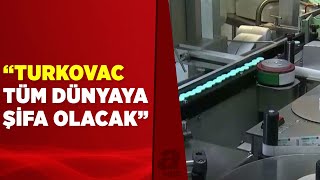 Yerli aşı TURKOVAC'ın seri üretimi Şanlıurfa'da yapılıyor | A Haber