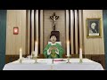 2023.2.11常年期平日弥撒主徒会.马帅神父主祭 mandarin mass celebrated by fr mark cdd